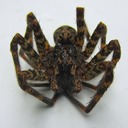 SPIDERS