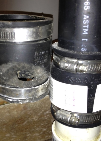 House Mouse Damage