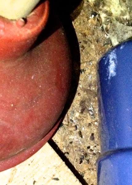 Mouse Droppings